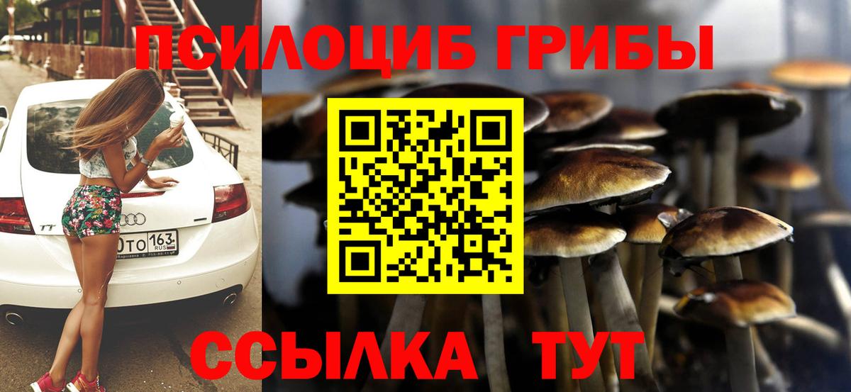 Камышлов  Галлюциногенные грибы MAGIC MUSHROOMS  Вход с VPN 